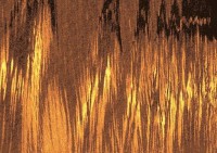 /album/gsw-forroo/kmk-2-1-jpg/